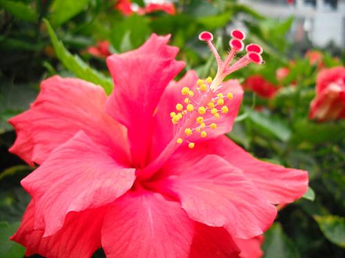 高性价比超薄卡片相机富士J25详尽评测(9)