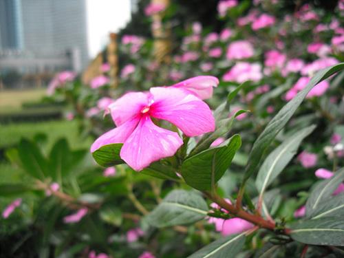 高性价比超薄卡片相机富士J25详尽评测(9)