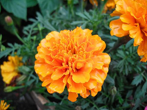 高性价比超薄卡片相机富士J25详尽评测(9)