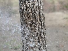 高清录像全景拍摄索尼旗舰长焦HX1评测(6)