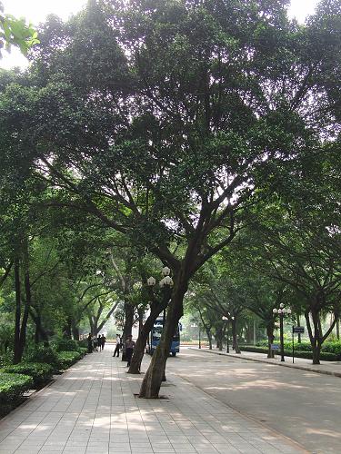 30张每秒高速连拍卡西欧长焦FC100评测(4)