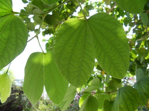 超广角高清 10倍光变三星WB550评测