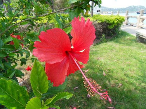 超广角高清 10倍光变三星WB550评测