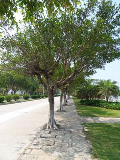 超广角高清 10倍光变三星WB550评测