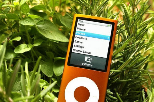 苹果iPod nano 4小涨 8GB售价1050元  