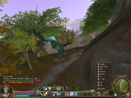 整合照样也流畅 速龙II玩转永恒之塔