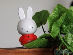 miffy预售新闻，没有衣服套装的，售价435(4GB) 