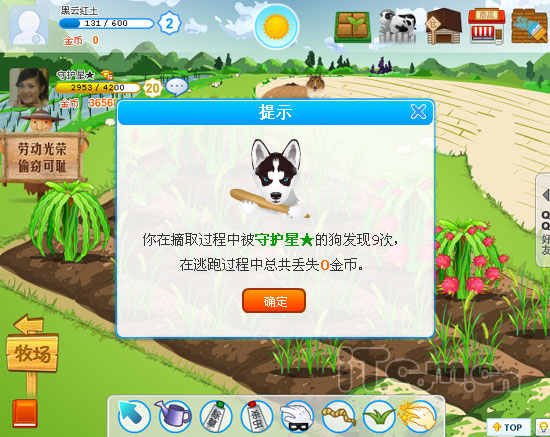 初级用户无视恶犬 QQ菜园想偷就偷