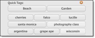 下载：Google Picasa 3.6正式版