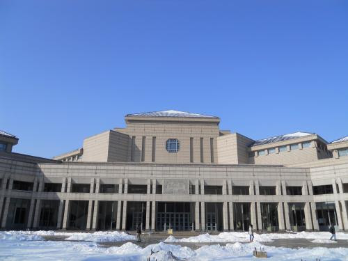 雪后燕园 尼康COOLPIX S570北京大学外拍 