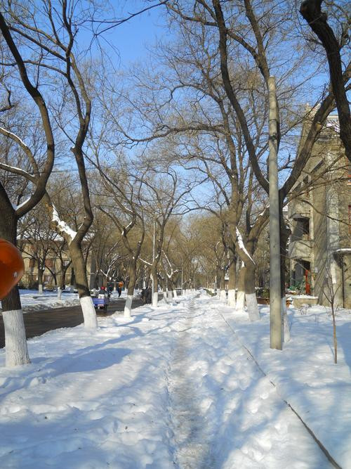 雪后燕园 尼康COOLPIX S570北京大学外拍 