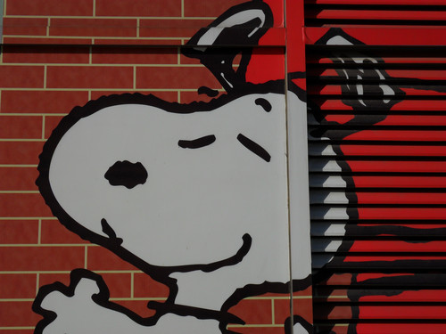 5倍光变27mm广角 金属卡片三星ES70评测 