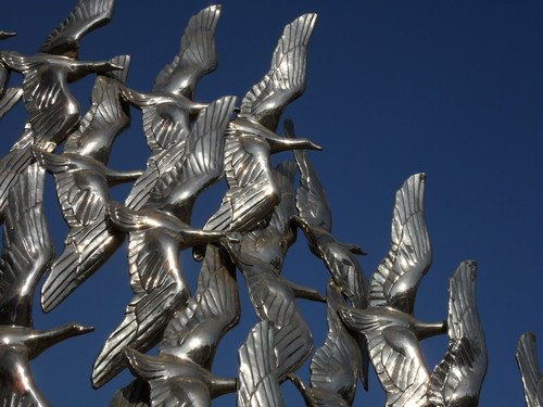 5倍光变27mm广角 金属卡片三星ES70评测 