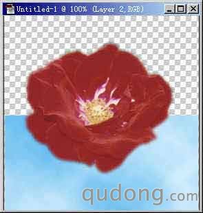 滤镜选项