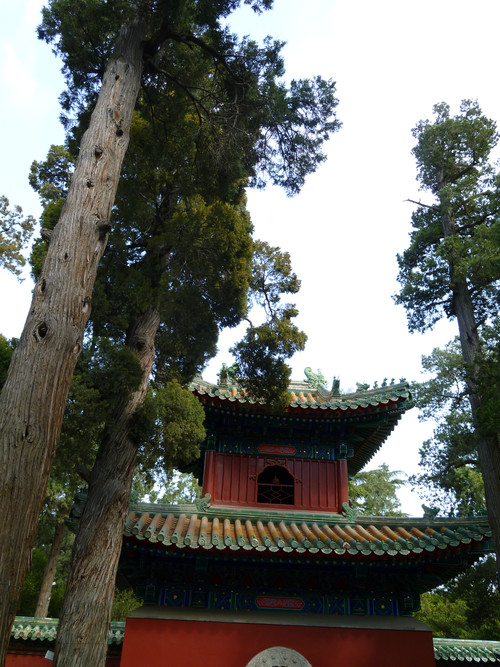 阳光、美女和古寺 松下新Lumix相机外拍 