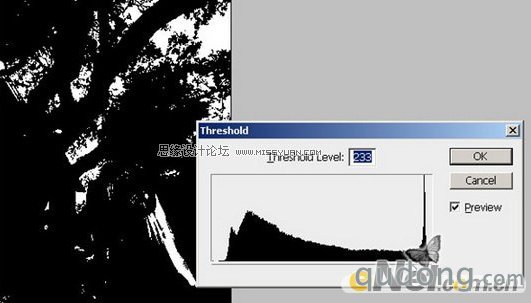 Photoshop制作射入森林中的太阳光线