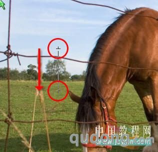 Photoshop初学者教程：图层混合模式调整云彩层次_中国教程网