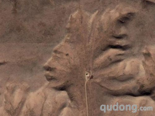 历数谷歌地图人脸地标