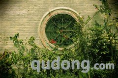 中端单反新生力量 佳能60D超详细解析