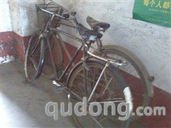 时尚色彩的3G活力 三星C5530体验评测 