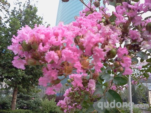 商务时尚社交娱乐 双网3G三星W609评测 