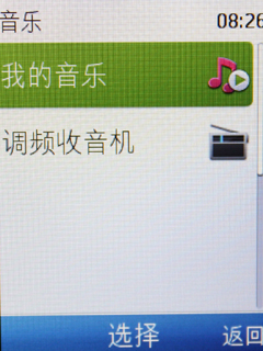 专业音乐功能、鸡肋视频播放