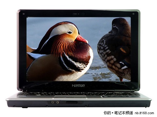 性价比之王 神舟优雅A350-T45 D1仅2899