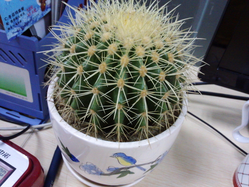 800万像素摄像头