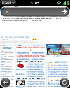 多媒体功能、国内开发的软件商店