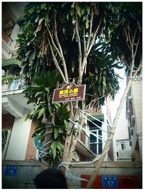 人人都是艺术 奥林巴斯PEN记录厦门之旅