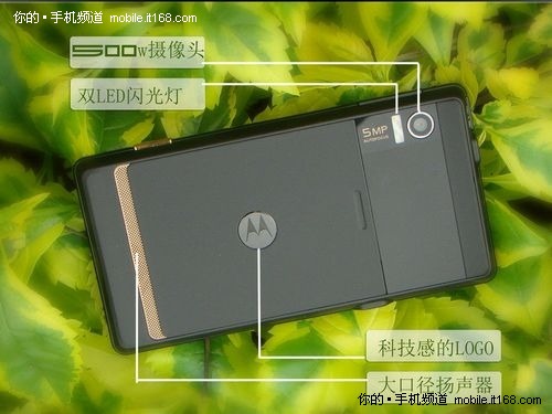 王者持续火热 MOTO里程碑最新价2450元