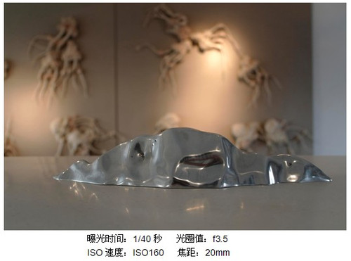 时尚交融专业 三星NX100给力中国设计