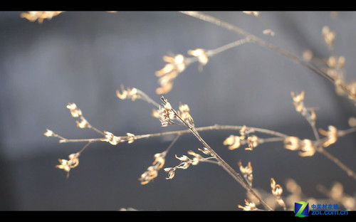 冬日午后的颐和园 佳能60D视频拍摄试用 
