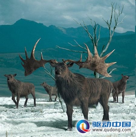 灭绝动物复活
