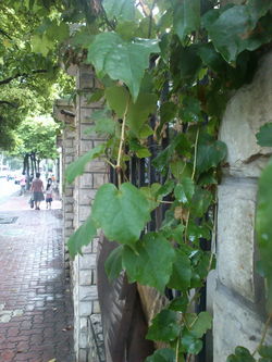 白色双子星 体验索尼爱立信ST15i、SK17i新机