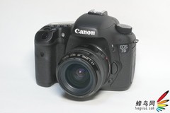 依然缺货！佳能EOS7D单反机身报价10199