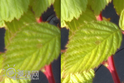 没AF也玩微距 诺基亚为新机推二代Edof全幅对焦摄像头