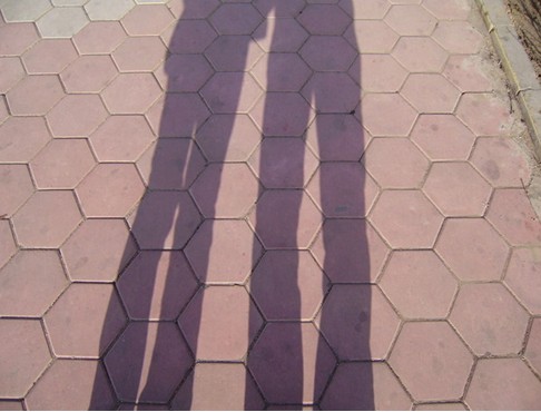 6