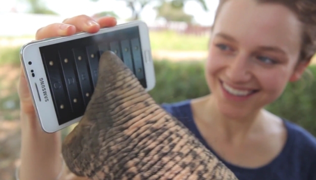 Elephant with Samsung Galaxy Note 640