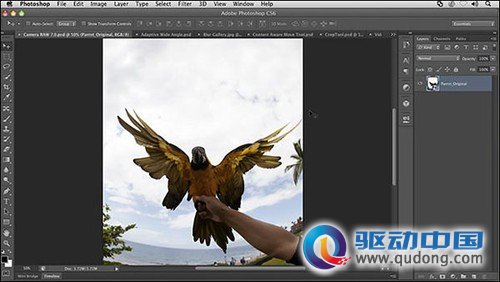 Adobe Photoshop CS6 BETA版已提供下载 