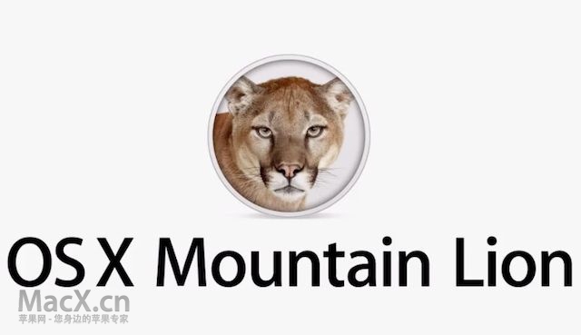 mountainlion2.jpg