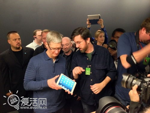 库克力挺乔布斯：苹果绝不生产7英寸平板电脑