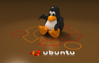 Ubuntu OS将推出预览版 支持Galaxy Nexus