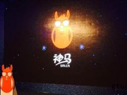 神马搜索，马云终于找到了移动互联网的入口？