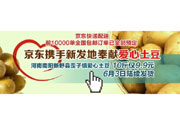 京东“爱心土豆”受网友追捧 上线1天预约50吨