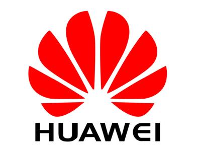 华为背后政府的不作为