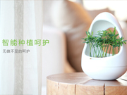 智能盆栽你了解么？三款智能绿植速览