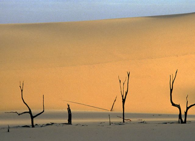 维多利亚大沙漠