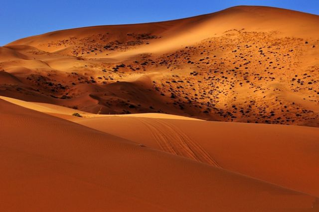 维多利亚大沙漠