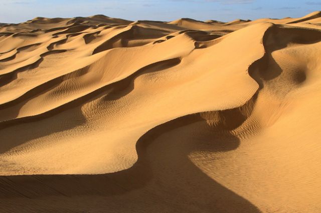 维多利亚大沙漠